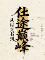 從村支書到仕途巔峰