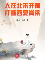 人在北宋，開局打斷西夏脊梁！