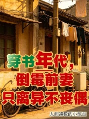 穿書年代，倒黴前妻隻離異不喪偶