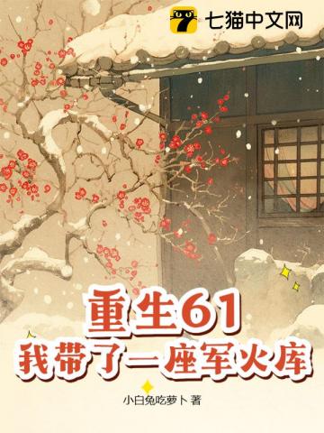 重生61，我帶了一座軍火庫