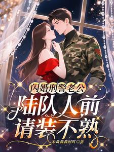 閃婚刑警老公，陸隊人前請裝不熟