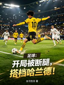 足球：開局被斷腿，搭檔哈蘭德！