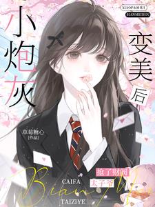 小炮灰变美后，抢了财阀太子爷