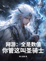 網遊：全是數值，你管這叫聖騎士？