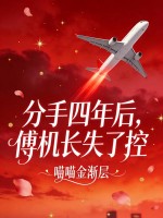 分手四年後，傅機長失了控