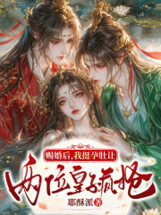 賜婚後，我挺孕肚讓兩位皇子瘋搶