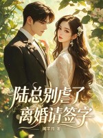 陸總彆虐了，離婚請簽字