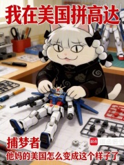 我在美國拚高達