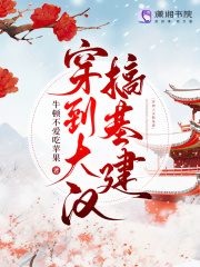 穿到大漢搞基建