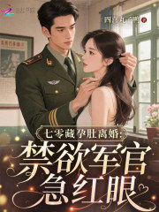 七零藏孕肚離婚：禁欲軍官急紅眼