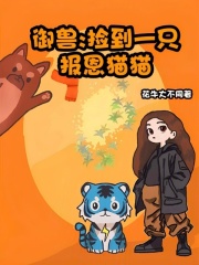 禦獸：撿到一隻報恩貓貓